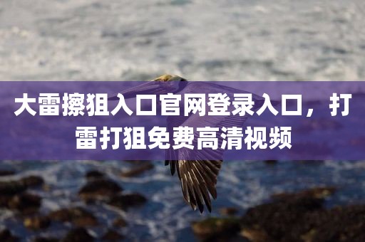 大雷擦狙入口官网登录入口，打雷打狙免费高清视频
