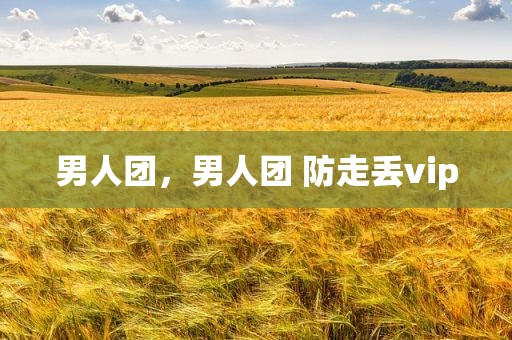 男人团，男人团 防走丢vip