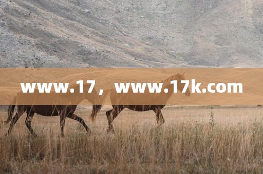 www.17，www.17k.com