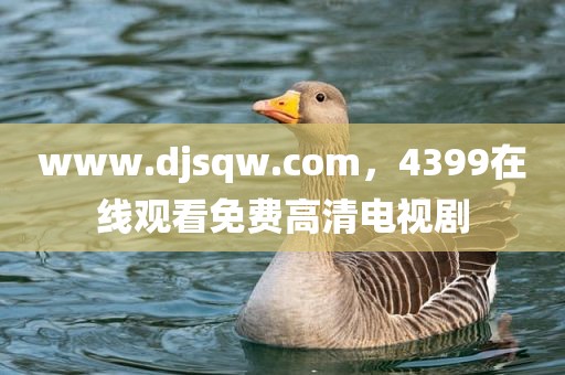 www.djsqw.com，4399在线观看免费高清电视剧