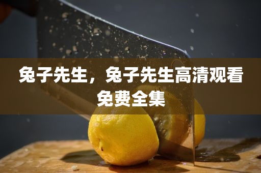 兔子先生，兔子先生高清观看免费全集