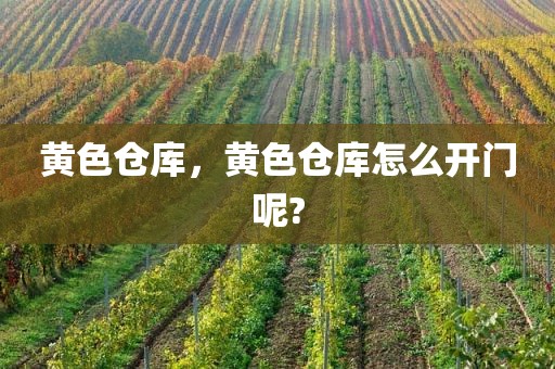 黄色仓库，黄色仓库怎么开门呢?