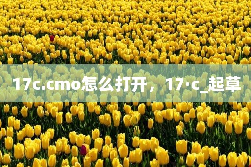 17c.cmo怎么打开，17·c_起草