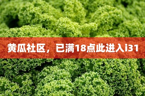 黄瓜社区，已满18点此进入i31