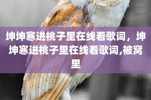 坤坤寒进桃子里在线看歌词，坤坤寒进桃子里在线看歌词,被窝里
