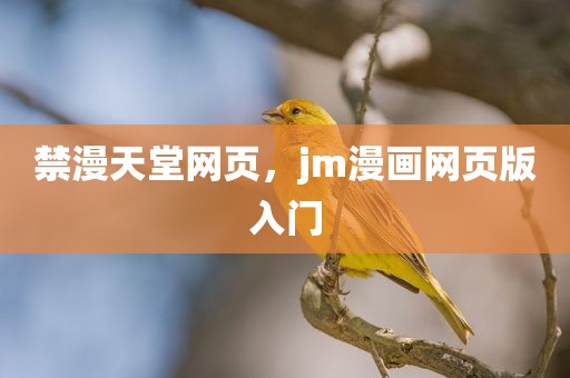 禁漫天堂网页，jm漫画网页版入门