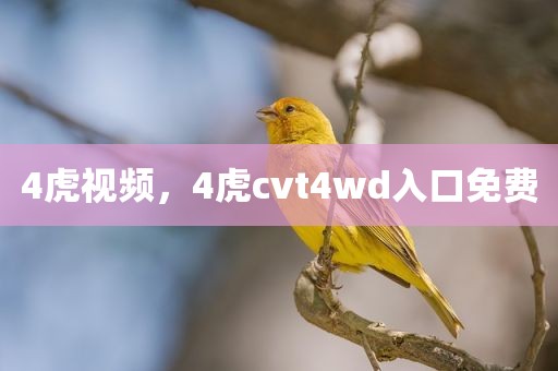 4虎视频，4虎cvt4wd入口免费