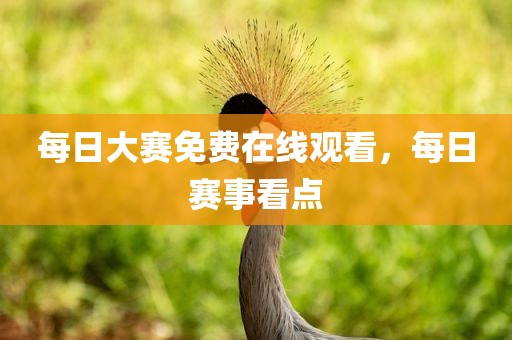 每日大赛免费在线观看，每日赛事看点