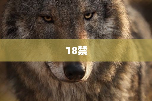 18禁