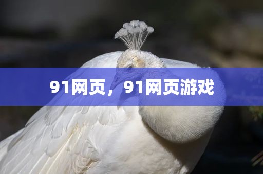 91网页，91网页游戏