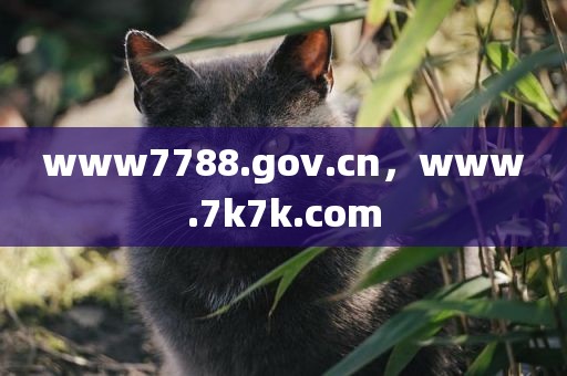 www7788.gov.cn，www.7k7k.com
