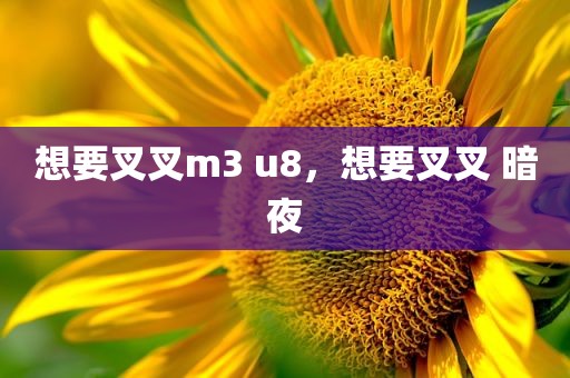 想要叉叉m3 u8，想要叉叉 暗夜