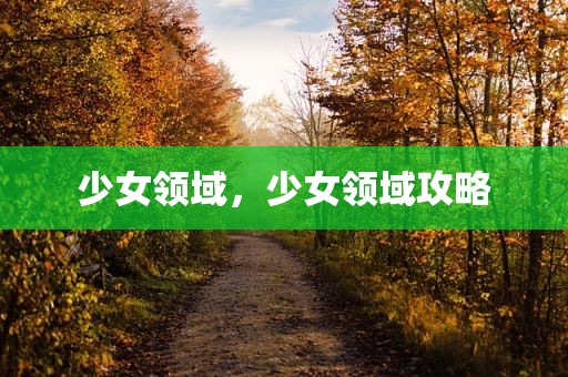 少女领域，少女领域攻略