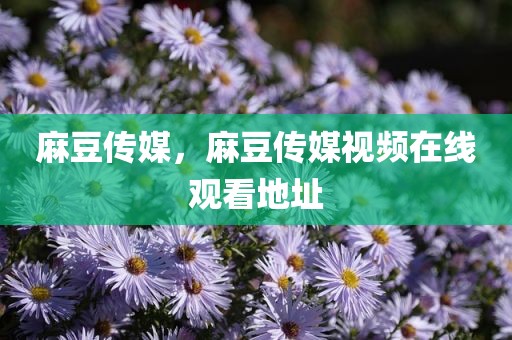 麻豆传媒，麻豆传媒视频在线观看地址