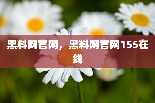 黑料网官网，黑料网官网155在线