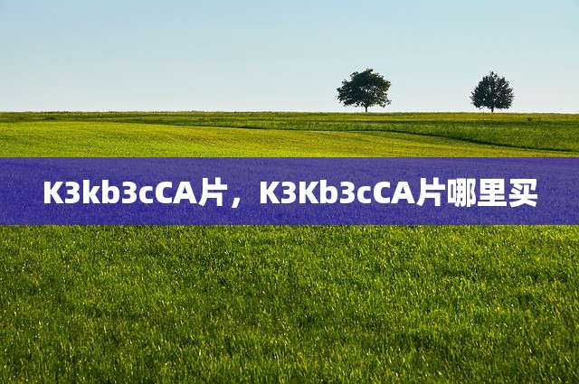 K3kb3cCA片，K3Kb3cCA片哪里买