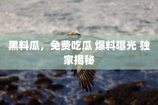 黑料瓜，免费吃瓜 爆料曝光 独家揭秘