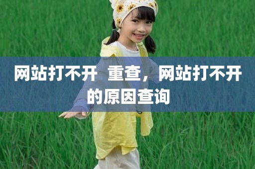 网站打不开  重查，网站打不开的原因查询