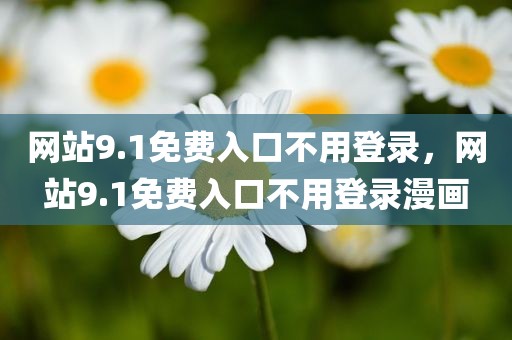 网站9.1免费入口不用登录，网站9.1免费入口不用登录漫画