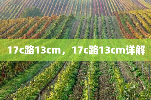 17c路13cm，17c路13cm详解