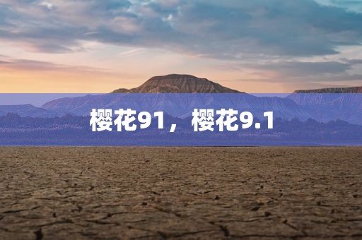 樱花91，樱花9.1