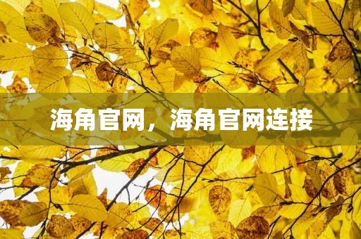 海角官网，海角官网连接