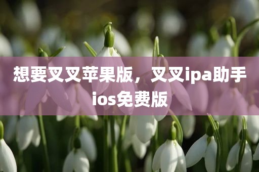 想要叉叉苹果版，叉叉ipa助手ios免费版