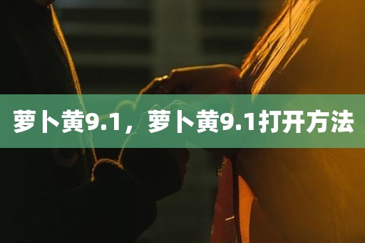 萝卜黄9.1，萝卜黄9.1打开方法