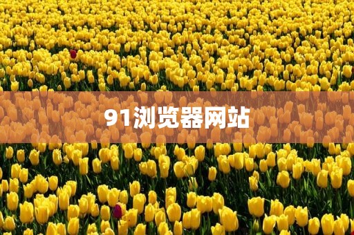 91浏览器网站
