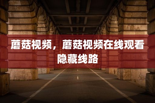 蘑菇视频，蘑菇视频在线观看隐藏线路