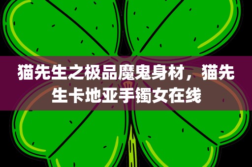 猫先生之极品魔鬼身材，猫先生卡地亚手镯女在线
