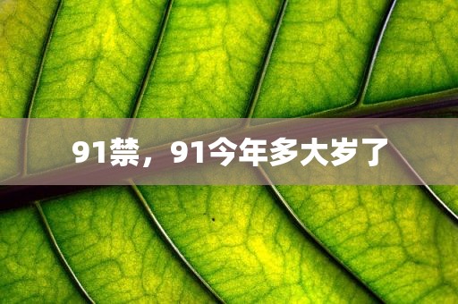 91禁，91今年多大岁了