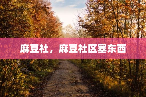 麻豆社，麻豆社区塞东西
