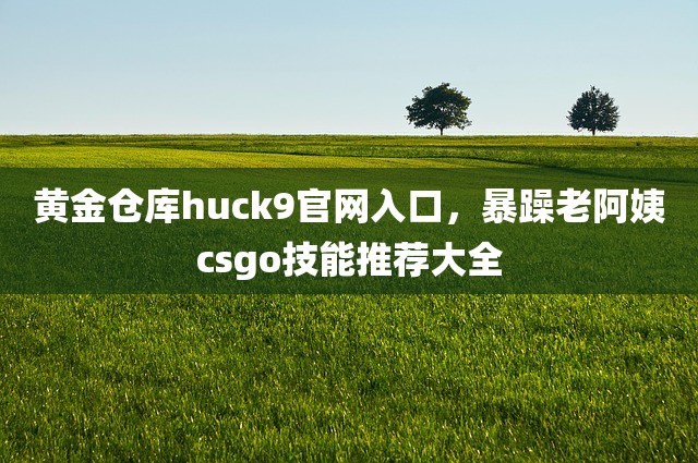 黄金仓库huck9官网入口，暴躁老阿姨csgo技能推荐大全