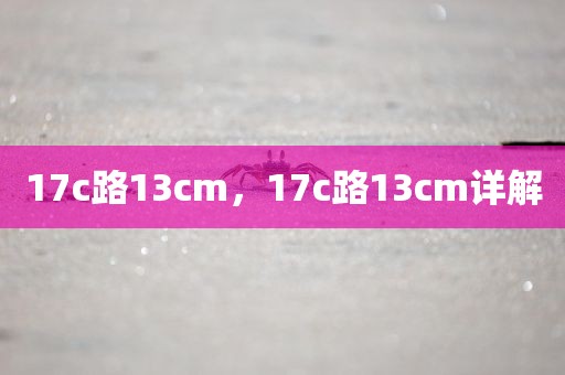 17c路13cm，17c路13cm详解