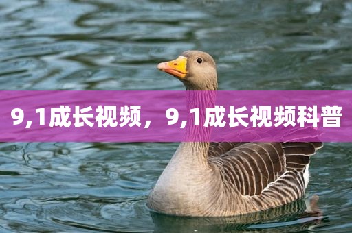9,1成长视频，9,1成长视频科普