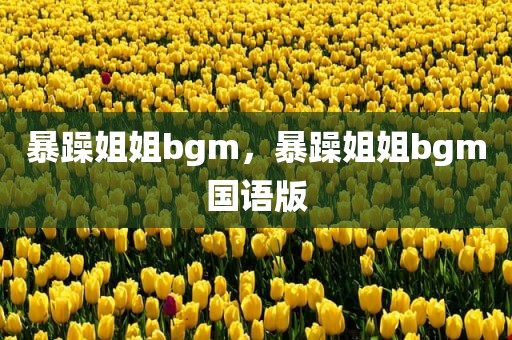 暴躁姐姐bgm，暴躁姐姐bgm国语版
