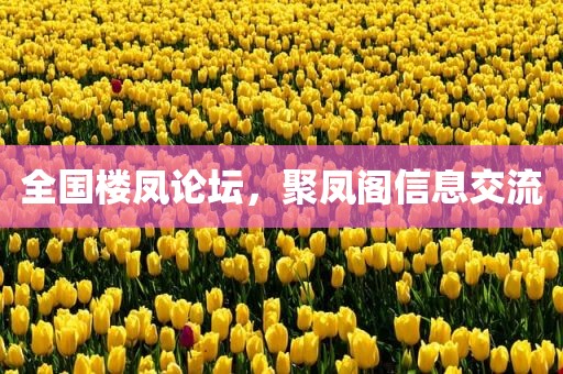 全国楼凤论坛，聚凤阁信息交流