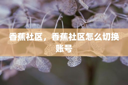 香蕉社区，香蕉社区怎么切换账号