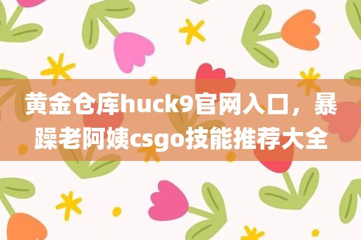 黄金仓库huck9官网入口，暴躁老阿姨csgo技能推荐大全