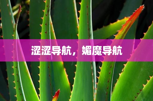 涩涩导航，媚魔导航