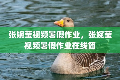张婉莹视频暑假作业，张婉莹视频暑假作业在线简