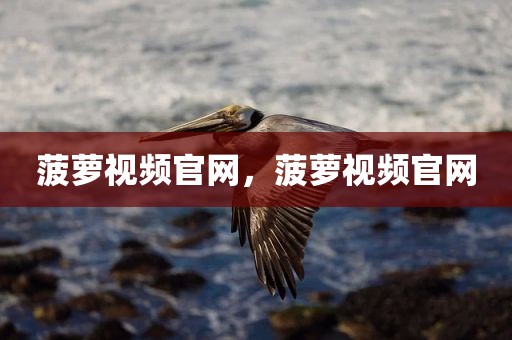 菠萝视频官网，菠萝视频官网