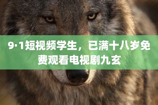 9·1短视频学生，已满十八岁免费观看电视剧九玄