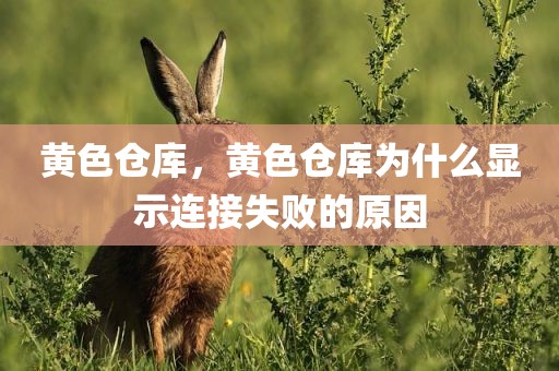 黄色仓库，黄色仓库为什么显示连接失败的原因
