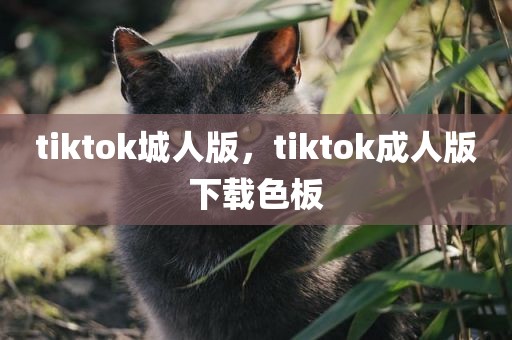 tiktok城人版，tiktok成人版下载色板