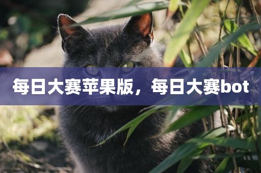 每日大赛苹果版，每日大赛bot