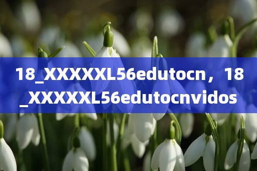 18_XXXXXL56edutocn，18_XXXXXL56edutocnvidos