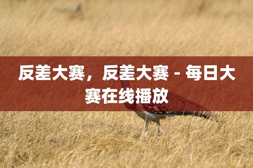 反差大赛，反差大赛 - 每日大赛在线播放