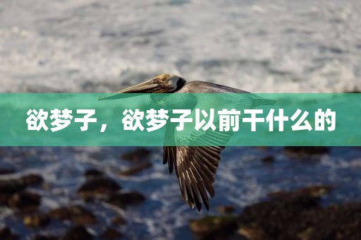 欲梦子，欲梦子以前干什么的